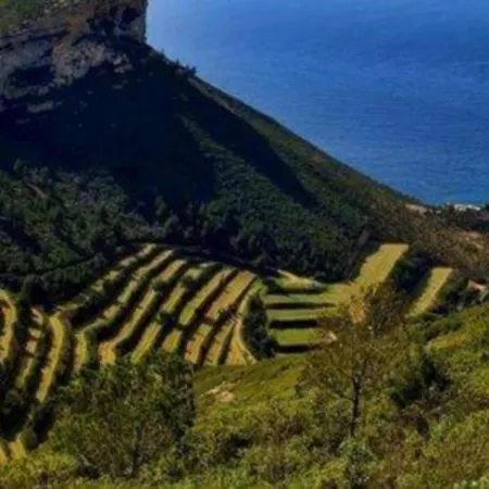 Center 2 Pers Et Garage Daire Cassis